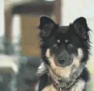 |搞笑动图:不好好走路,哥们你抽筋了么?