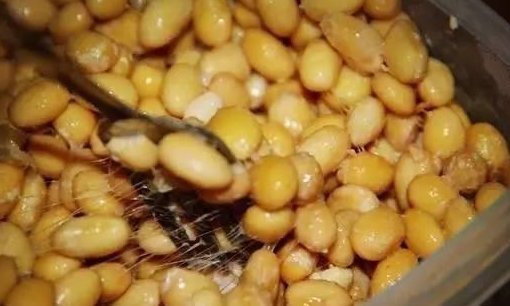 肥皂溶液|家中养花,这5毛钱的小东西别乱丢,能让花蹿到2米高,你知道了吗