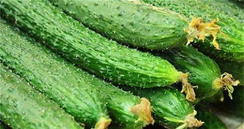 會吃的人最健康,3種食物離不開,營養豐富,抗老去皺,早吃早好