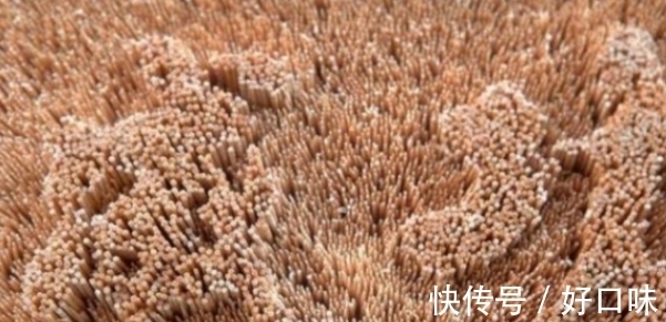 牙签$男子花费2千元买牙签,众人很不解,但三月后的成品让人称赞