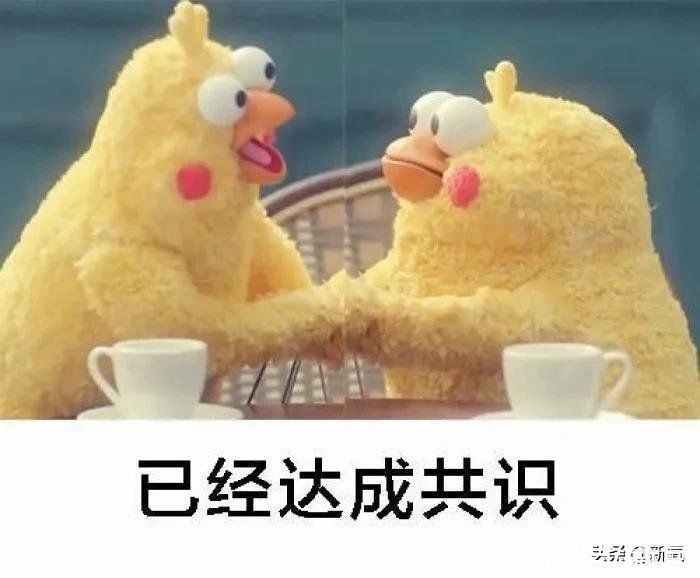 卡餐|薇娅李佳琦集体翻车！减肥餐有一个算一个全是智商税？