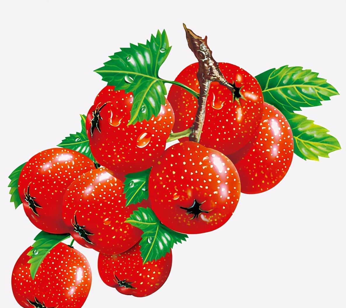 妊娠糖尿病|怀孕期间嘴再馋也尽量别吃这几种食物,伤害的是胎宝宝