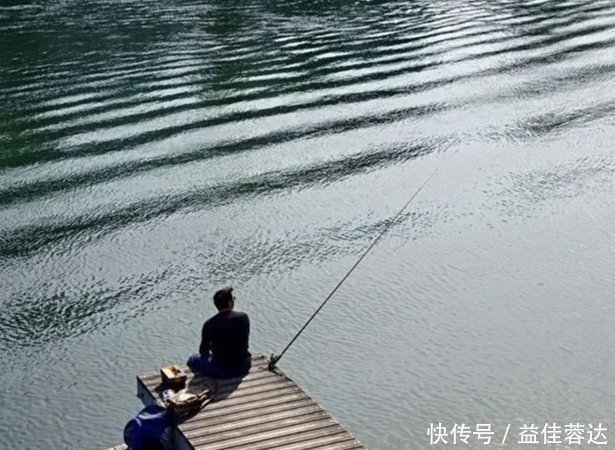 钓者|老钓手分享可以加快钓到大鲤鱼速度的方法，可以轻松搞定大鲤鱼！