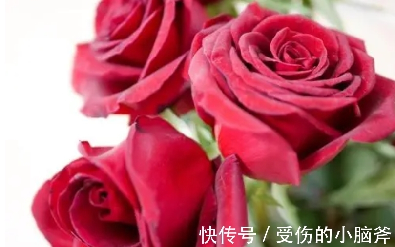 事业|从明天开始,得天独厚,桃花朵朵,事业成功,财源广进,生活富裕