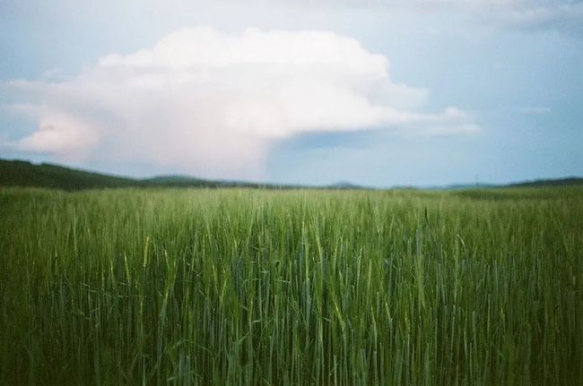 意志|叔本华：别让生活耗尽你的美好