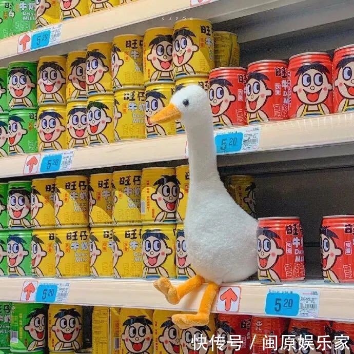 村上春树|神仙·封面丨高情已逐晓云空,不与梨花同梦