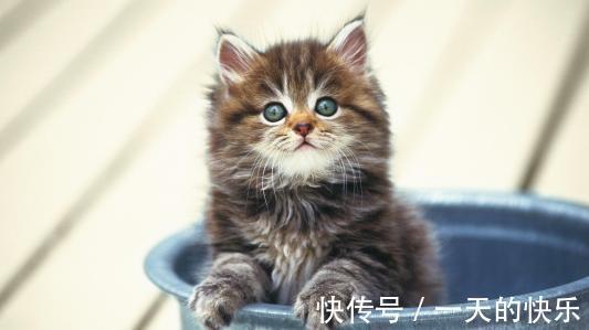 |幽默笑话:我们公司突然放假,去找女朋友,想给她个惊喜