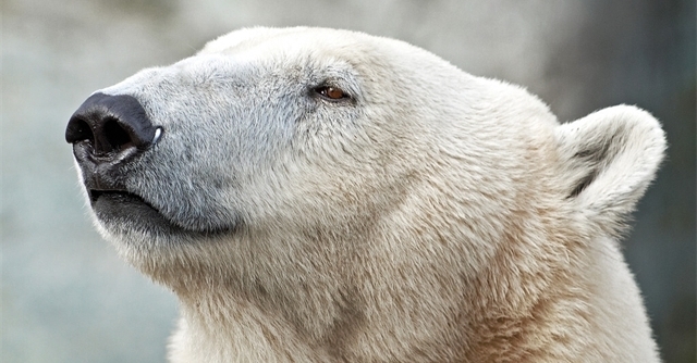 有趣的22个冷知识：刚要睡着时，感觉身体从高处坠落是怎么回事