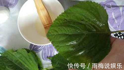 小吃|东北的特色小吃“粘耗子”,您吃过吗做法简单,让人百吃不厌