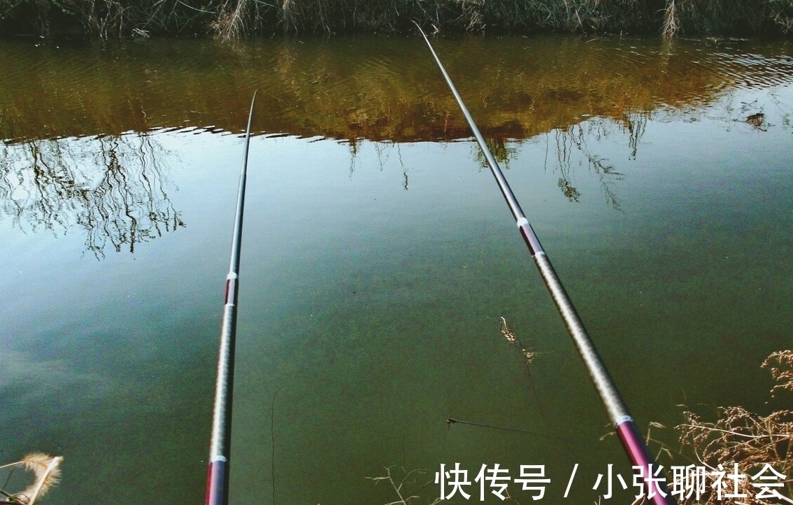 10号钩挂玉米都被干弯了！浑身绿得发黑，钓友：烫手别放生