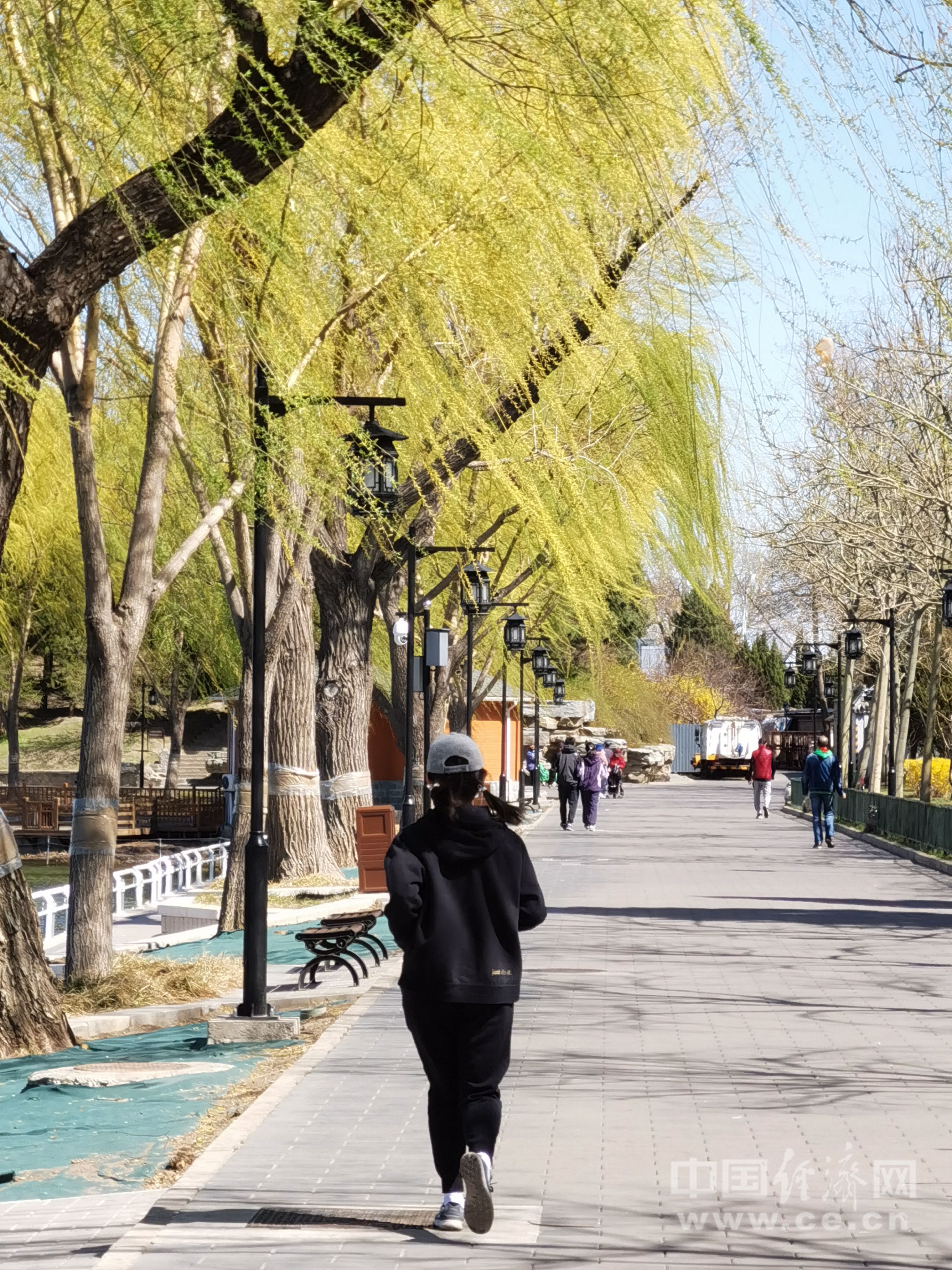 适应能力|长期超负荷运动危害大 把控运动量记住两点