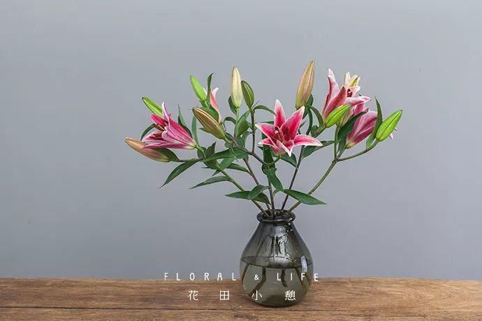 10款春节必备花材清单，去花店就买这些花！