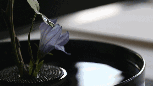 自在飞花轻似梦|诗词丨半城烟雨始入画，一笺清夏浅浅来