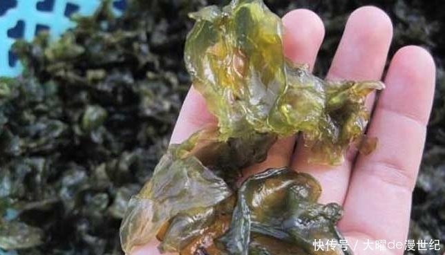 地皮菜和此物一起炒,视力好了,气血又红润,