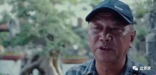 张光前和他30年的盆景生涯