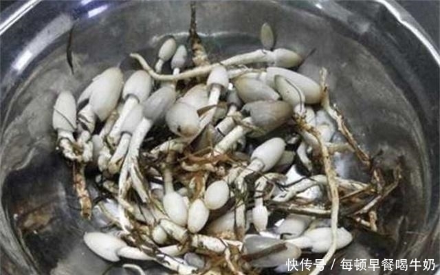 有钱人|稻草堆里的隐藏美味,有钱人都难吃到