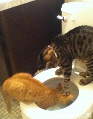 |搞笑GIF：今天和女朋友出门忘记带药怎么办