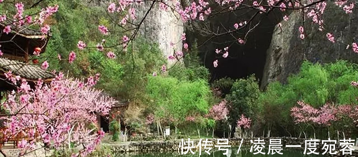 长恨春|写《琵琶行》后仅半年,白居易又出一首名诗,灵巧生动、理趣盎然