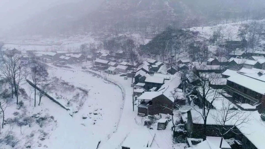 雪景|太美了！台州最新雪景！括苍山跌至-10℃，再现云海奇观（多图多视频）