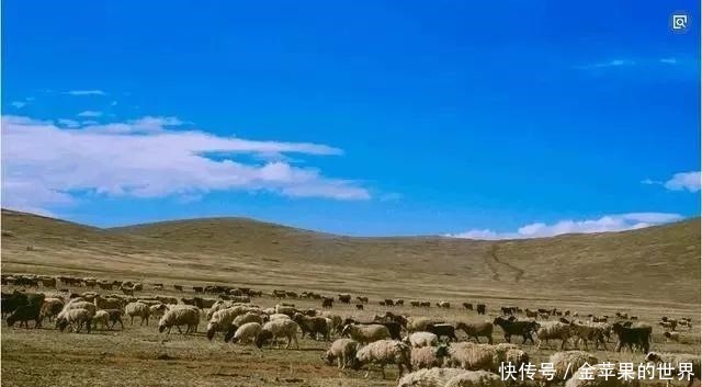 收复|中国收复了众多领地，为何对这个地方无动于衷原因可能是这4点