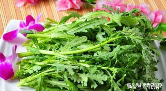 养生保健的几种野菜，没事多吃，消炎利尿，排毒消脂，预防疾病