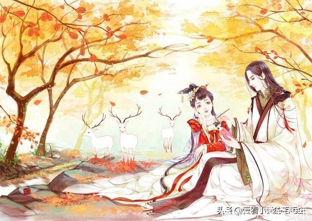 古言|五本古言宠文,强推《娇藏》,男主腹黑包容宠溺女主