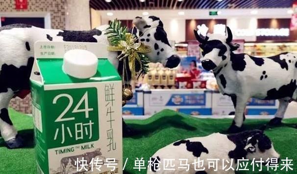 纯牛奶|都是牛奶,鲜牛奶跟纯牛奶的区别是啥?只需一招,买对才是赚到!