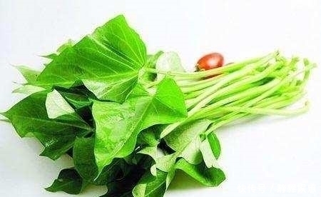 小蛮腰|别看它不起眼,却是头号刮油王,常吃点燃脂一整天,腹部赘肉不见