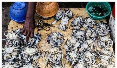 非洲人|非洲人穷得没饭吃中国吃货看下菜市场,他们只是缺厨师