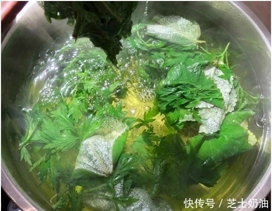 艾草煮水洗头,坚持半个月,身体发生神奇的变化,太好用了!