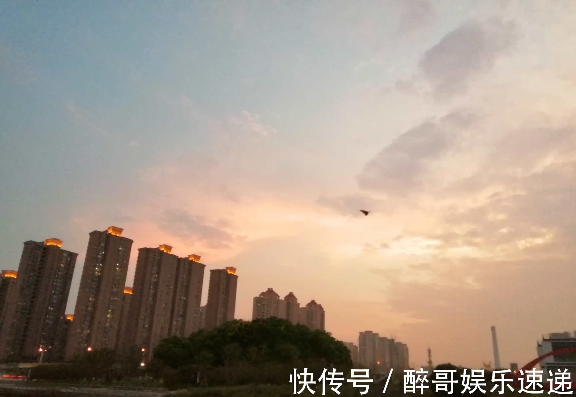 孤鹭#七绝:孤鹭(新韵)