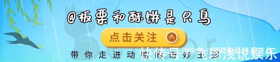 大鲵！人鱼是真实存在的吗？山海经给了我们答案，人面鱼身现存于世