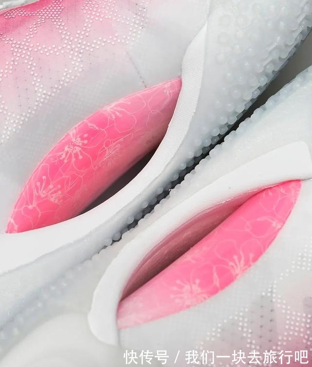 韦德 快传开箱|韦德之道9代——绽放吧,樱花!