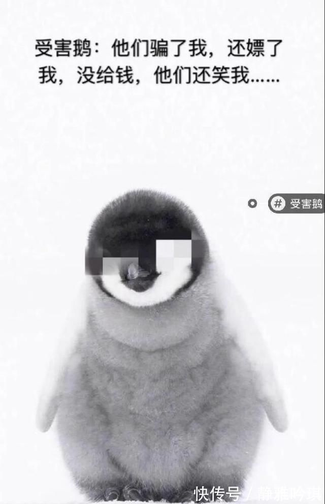 江小白|腾讯被群嘲背后不只是一场全民娱乐这么简单