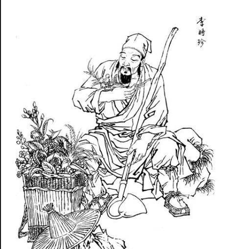 陈子真|《本草纲目》上人吃蝙蝠?能吃吗,李时珍来告诉你!