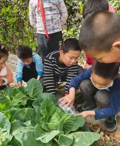 许家小学：就地取材做实验 别出心裁学科学