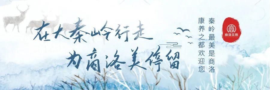  山阳八仙鼓——深受群众喜爱的民间音乐形式|非遗名录 | 八仙