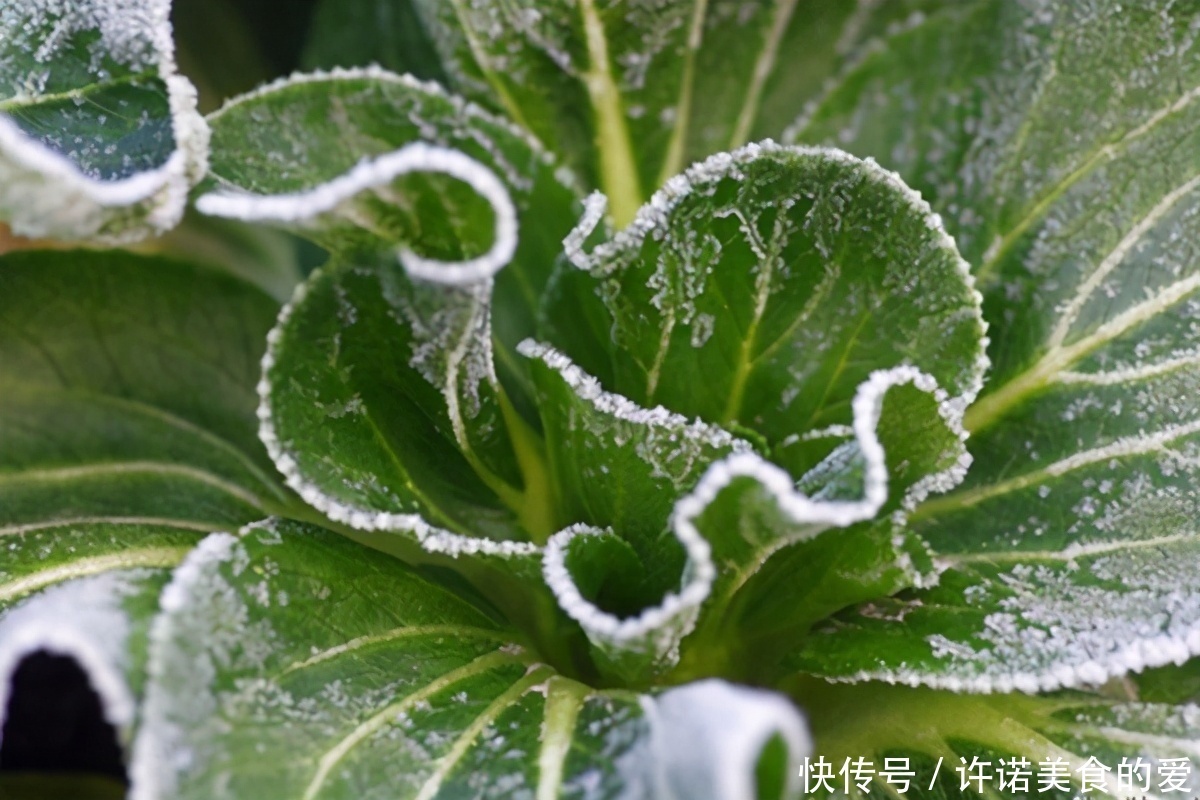  好看|炒菜时，多做这一步，炒出来的蔬菜不仅好看还好吃