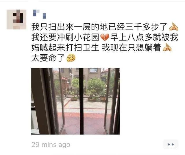 文学|抱歉,全网吐槽的凡尔赛文学我骂不出口