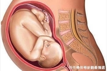 肚子|肚子里的孩子在什么时候会进入猛涨期呢?