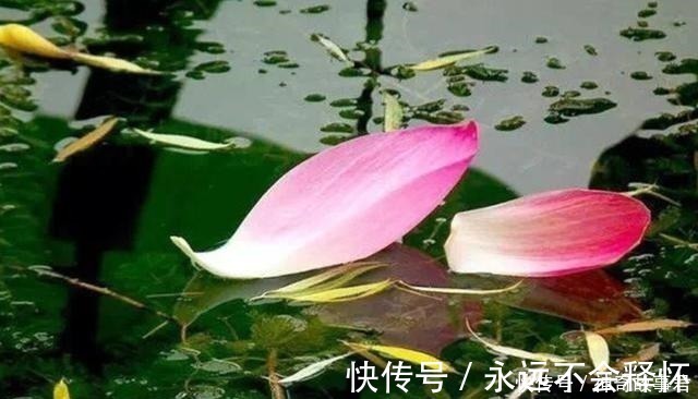 唐朝@唐朝最“肉麻”的一首诗,全诗仅20字,却道尽相思的苦楚!