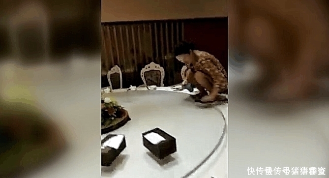 女服务员“跪式”工作,顾客看不下去了,老板你明天别来上班了