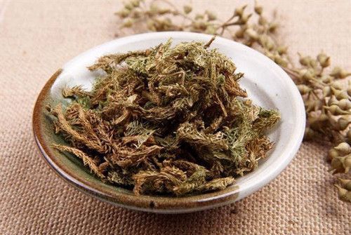 中药|千年一味“伸筋草”！拉筋舒筋，去寒气湿气，福泽众生，深藏功名