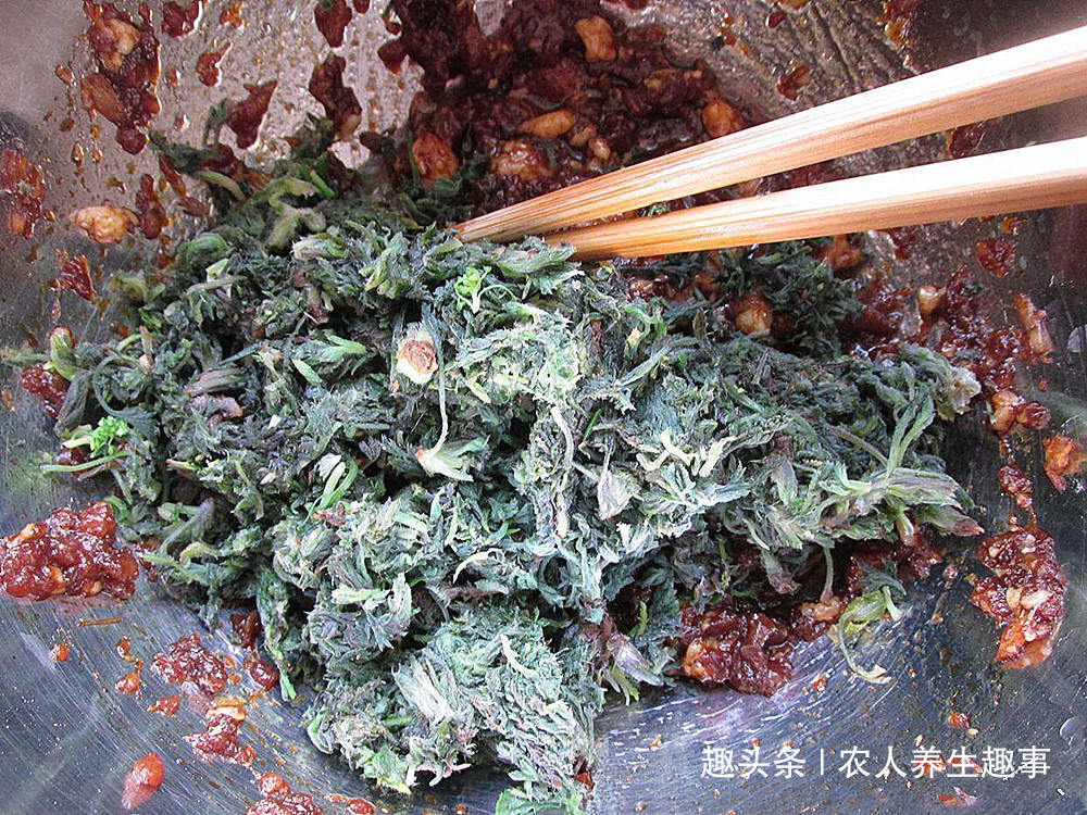 茵陈|农村路边的“养肝菜”,隔三岔五吃一吃,排出肝毒连口臭也没了