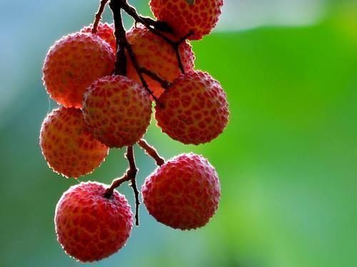 预防脂肪肝|它是肝病的“特效药”,平时放心敞开吃,或助你排肝毒,肝更健康