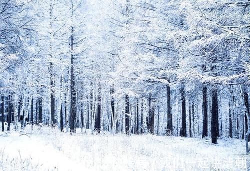 冬天|入冬后，为了血管健康，这些动作尽量少做，中老年群体需要注意