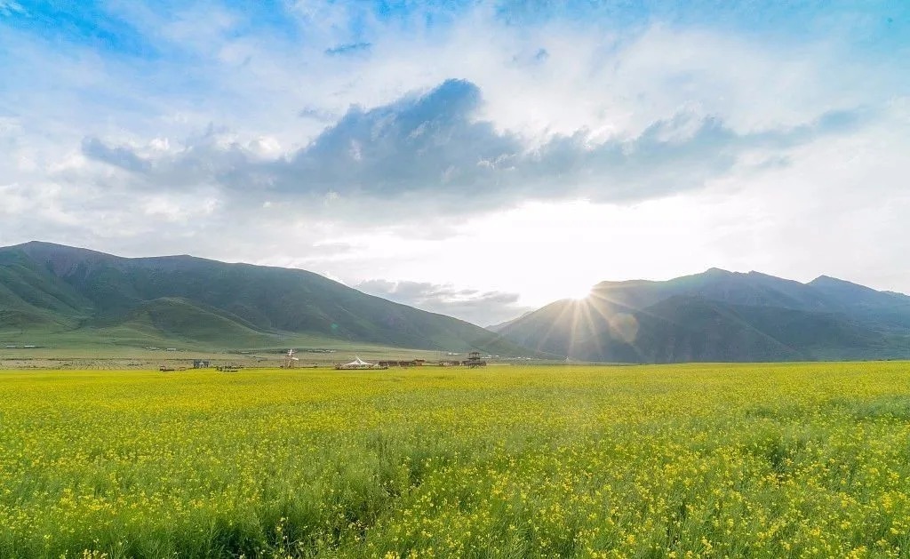 生育|消耗阳气的10种习惯
