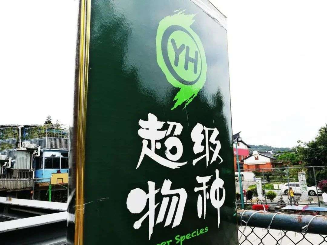 永辉|永辉超市的中年危机