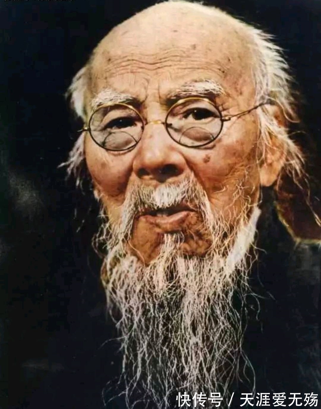 白石老人@欣赏《齐白石画集》,从画中读到满满艺术感