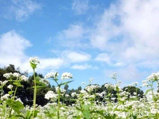  长寿|老人需跨过两道“寿命坎”，才能与长寿并肩，希望你能跨过去